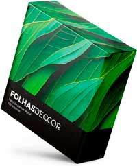 Catálogo de la colección Hojas B